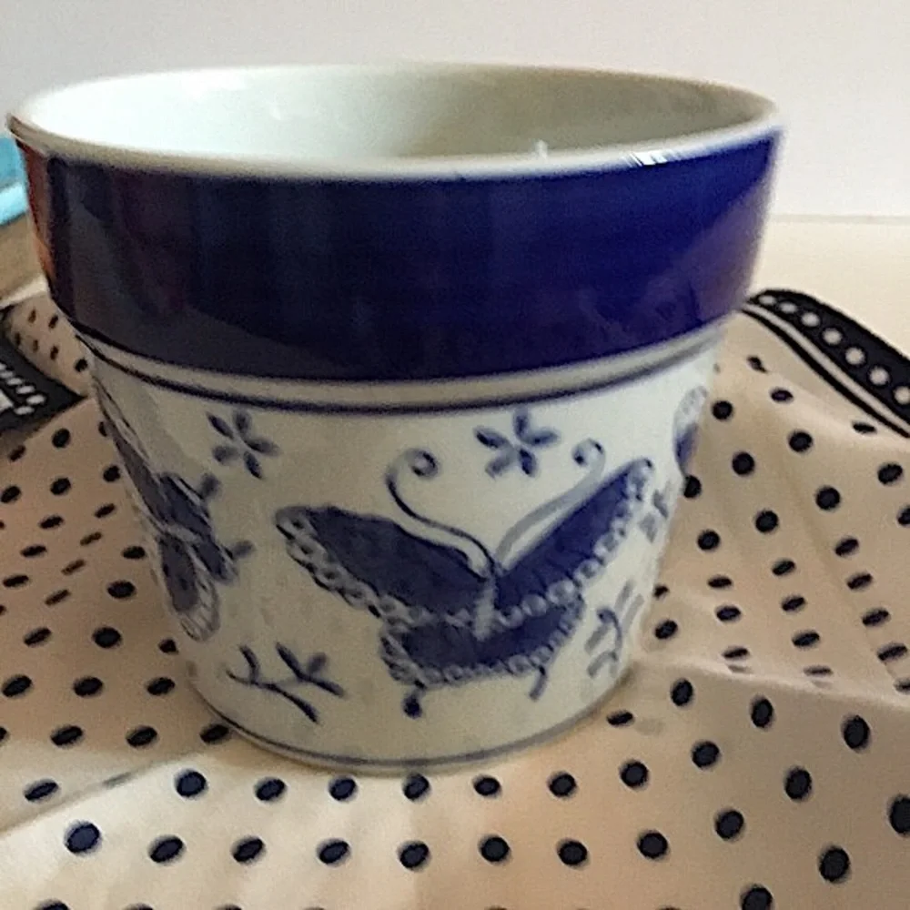 Vintage Retro Mod Farmhouse Asian Blue White Ceramic Butterfly Pot vase